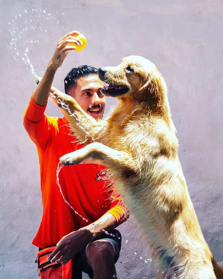 Bruno Filipe, Adestrador da Aumei Pet